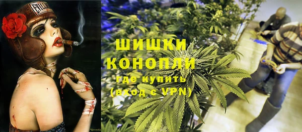 сатива Карталы