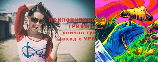 мяу мяу мука Касимов
