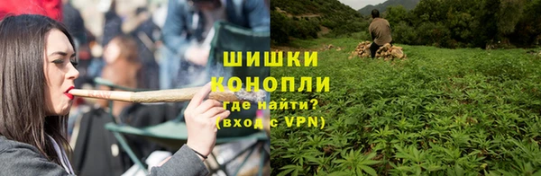 сатива Карталы