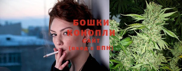 круглые Карпинск