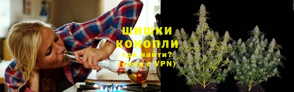 сатива Карталы