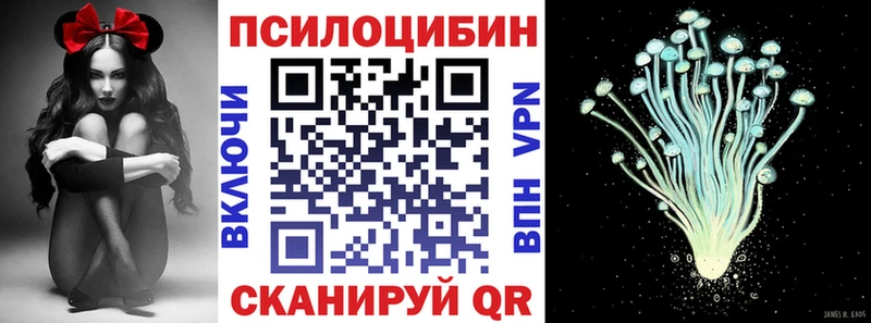 Псилоцибиновые грибы мицелий  Купить где  Нижнеудинск 